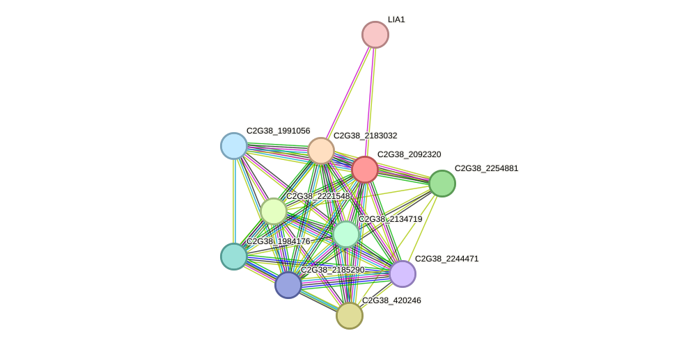 STRING protein interaction network