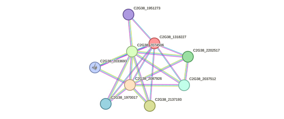 STRING protein interaction network