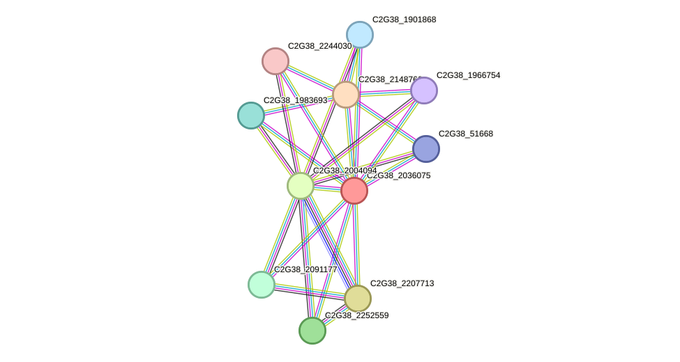 STRING protein interaction network