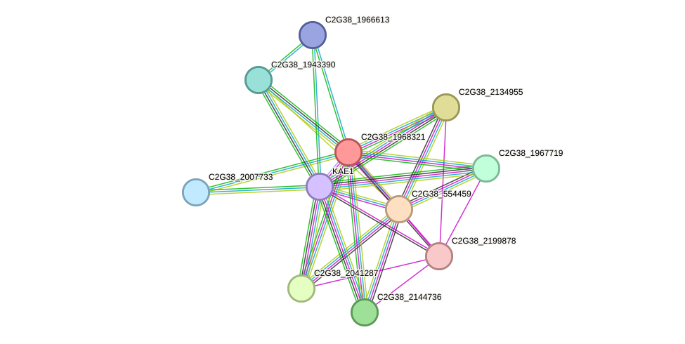 STRING protein interaction network