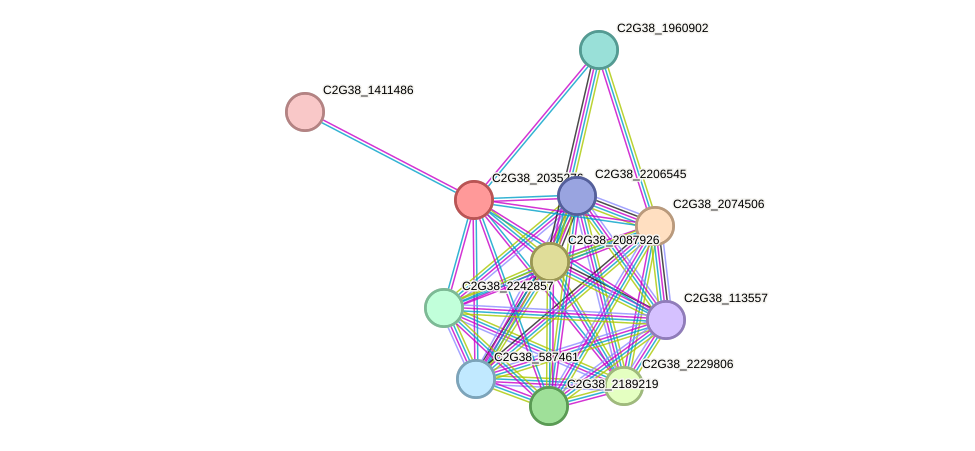 STRING protein interaction network