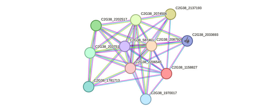 STRING protein interaction network