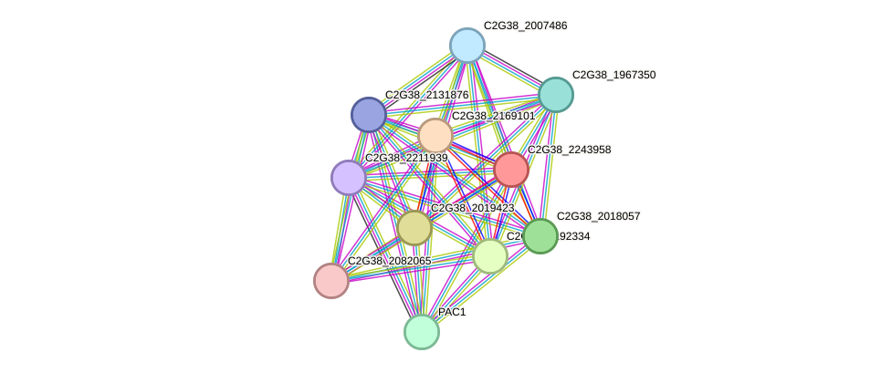 STRING protein interaction network