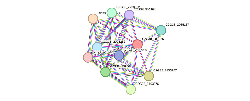 STRING protein interaction network