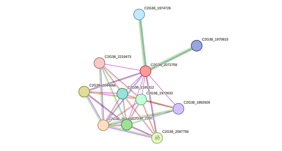 STRING protein interaction network