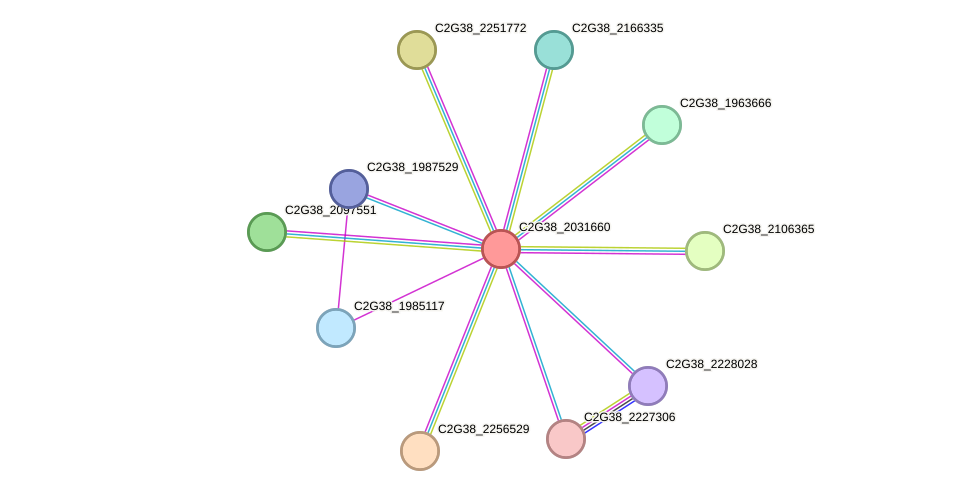 STRING protein interaction network