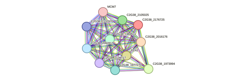 STRING protein interaction network