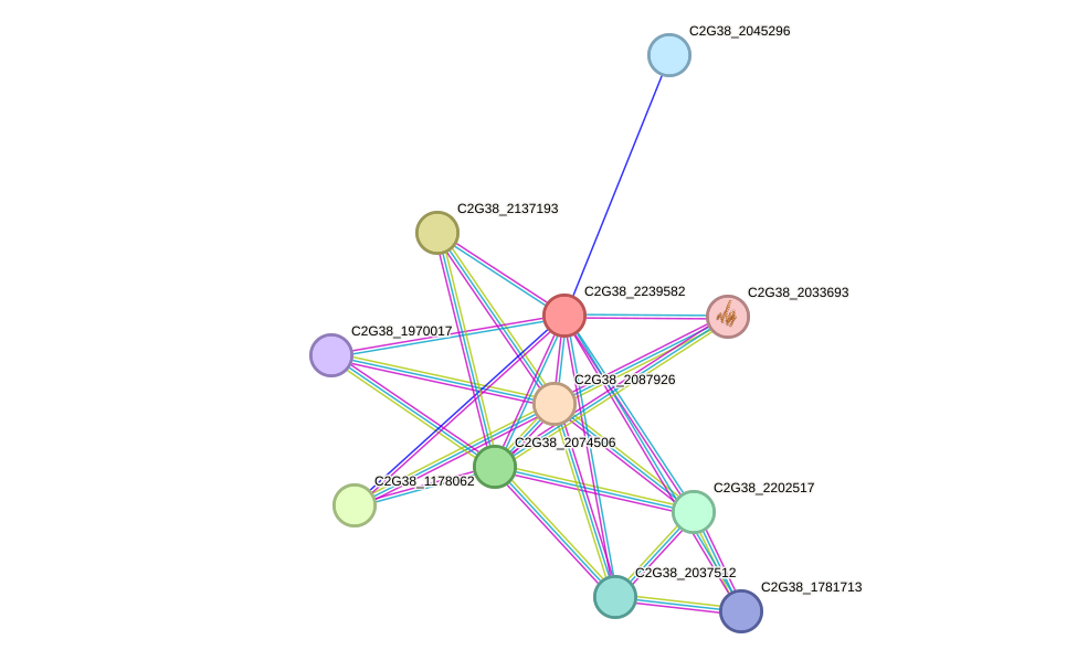 STRING protein interaction network