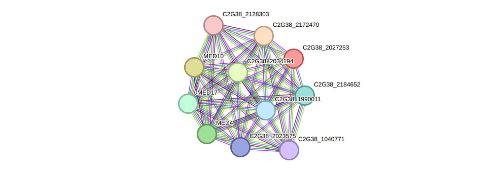 STRING protein interaction network