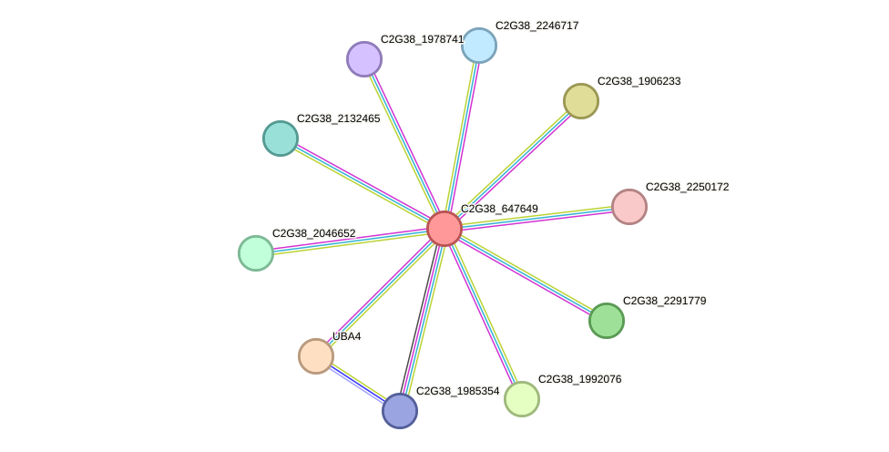 STRING protein interaction network