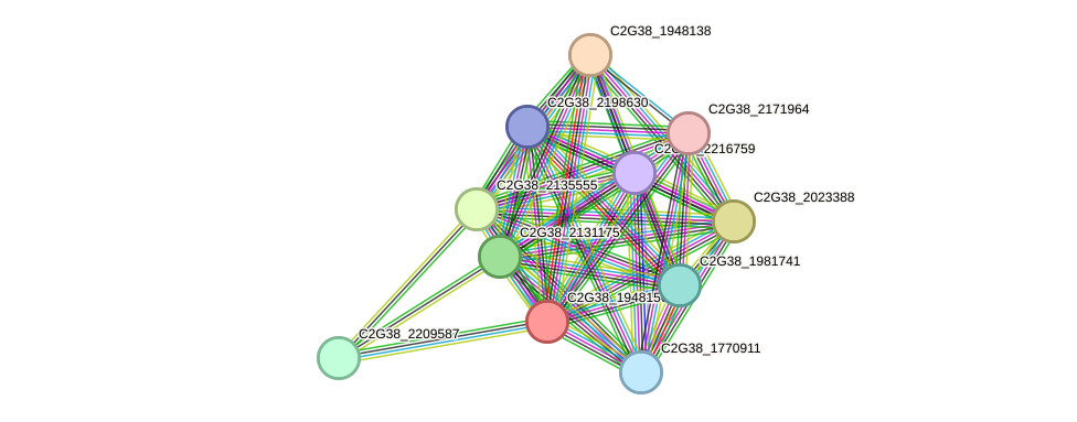 STRING protein interaction network