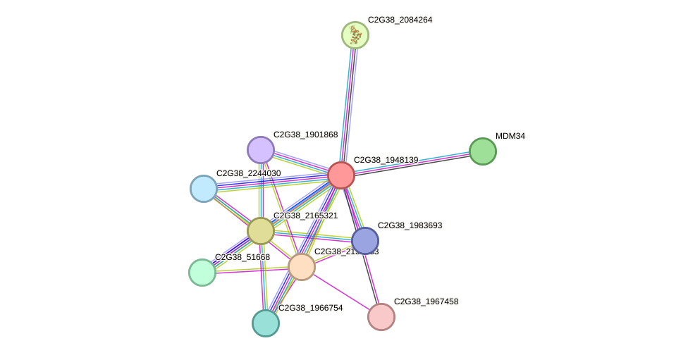 STRING protein interaction network