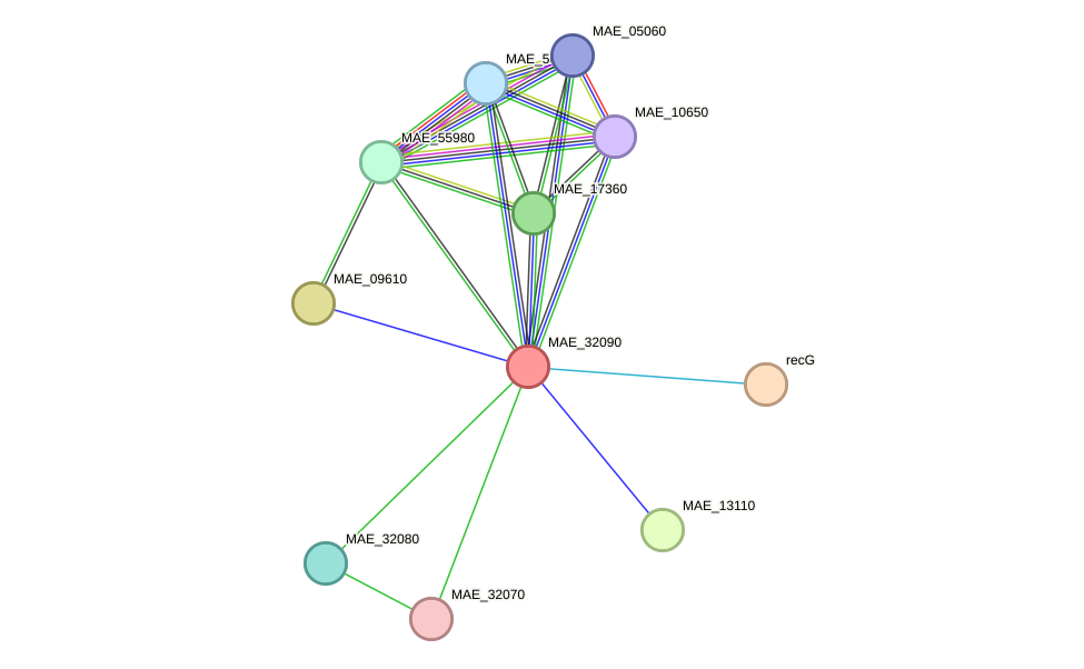 STRING protein interaction network