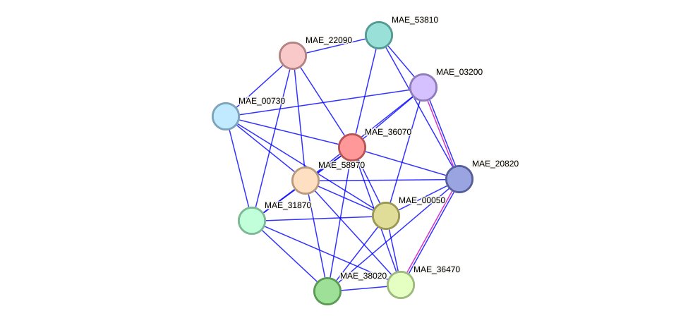 STRING protein interaction network