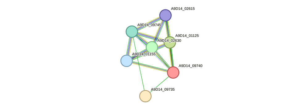 STRING protein interaction network