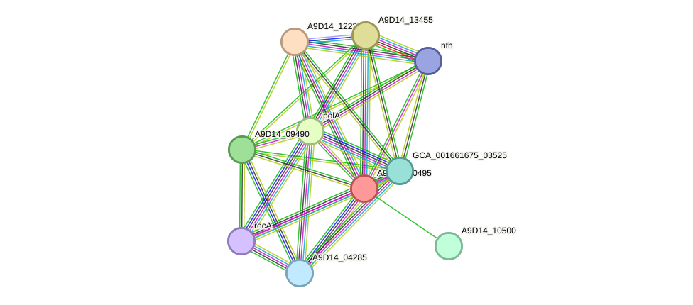 STRING protein interaction network