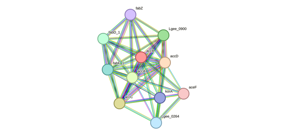 STRING protein interaction network