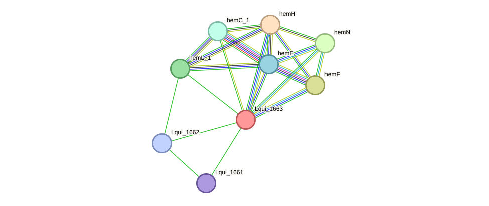 STRING protein interaction network
