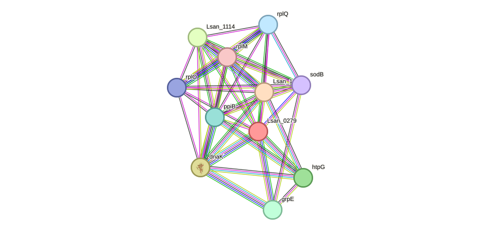 STRING protein interaction network