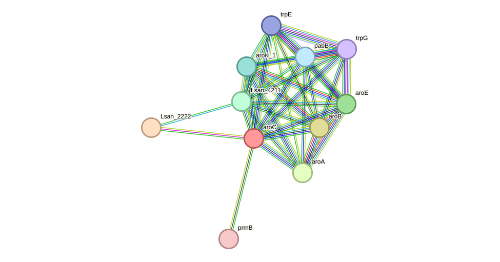 STRING protein interaction network