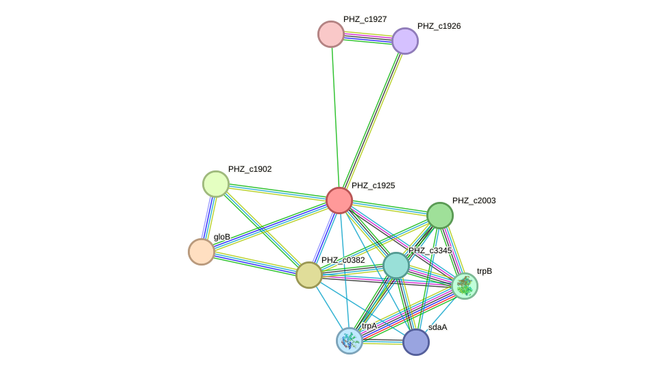 STRING protein interaction network