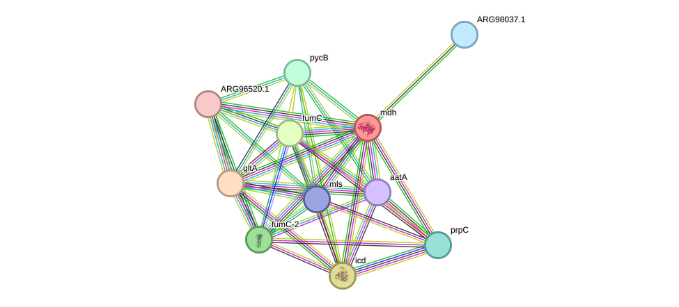 STRING protein interaction network