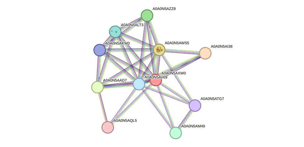 STRING protein interaction network