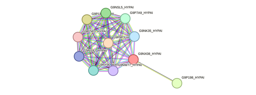 STRING protein interaction network