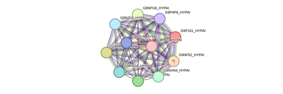 STRING protein interaction network