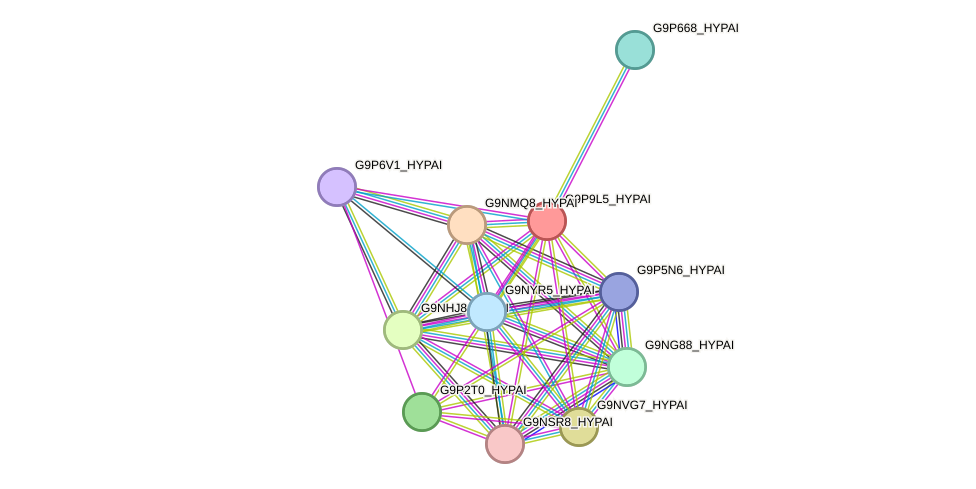 STRING protein interaction network