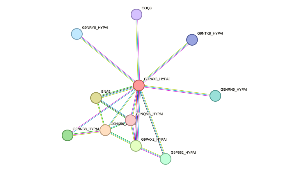 STRING protein interaction network