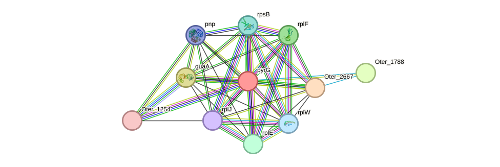 STRING protein interaction network