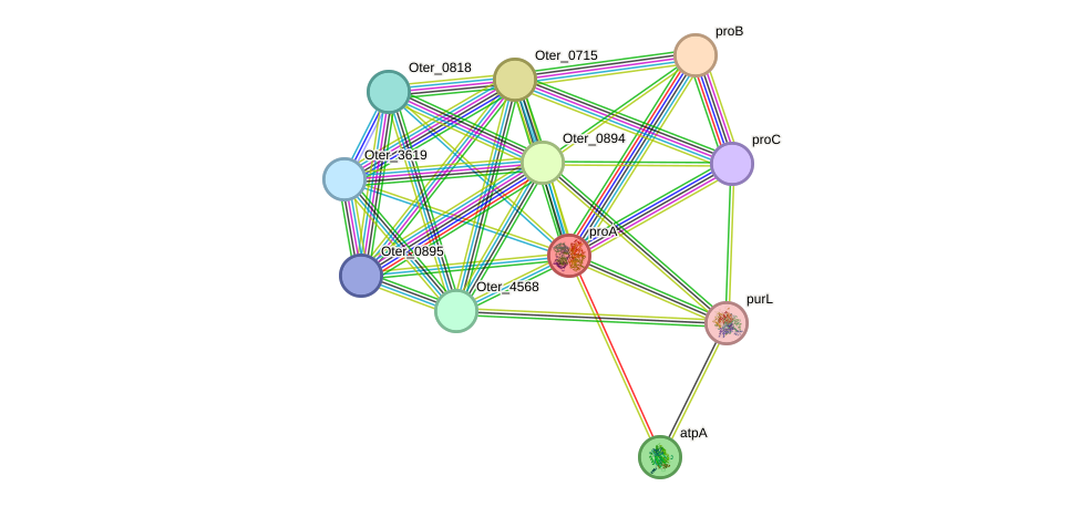 STRING protein interaction network