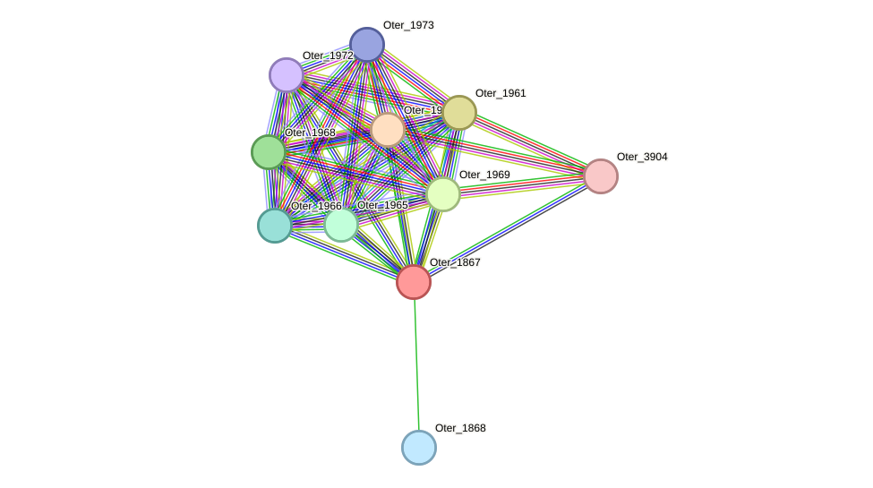 STRING protein interaction network