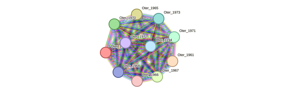 STRING protein interaction network