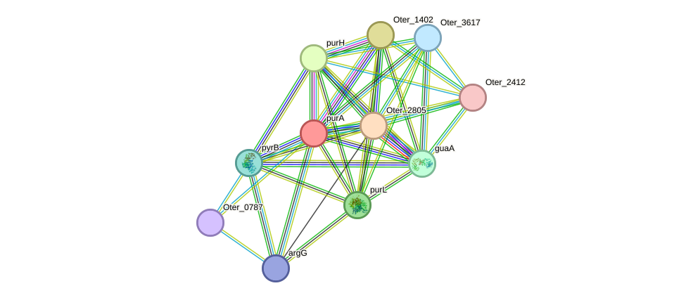 STRING protein interaction network