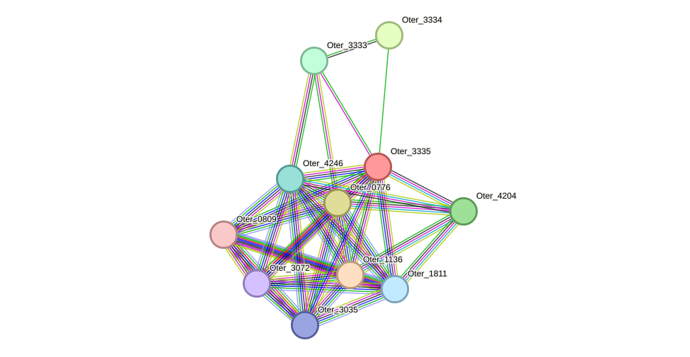 STRING protein interaction network