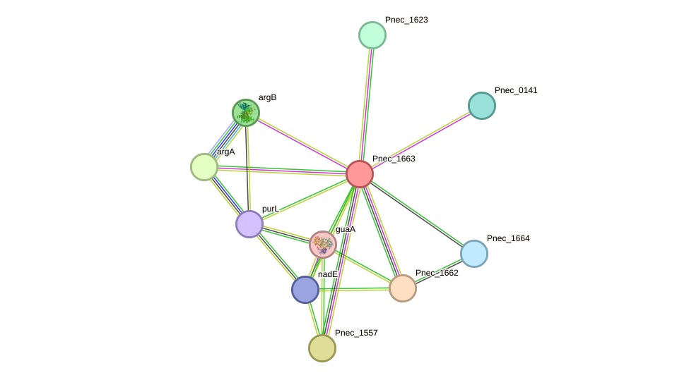 STRING protein interaction network