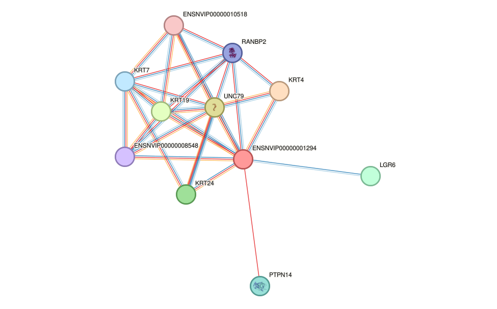 STRING protein interaction network