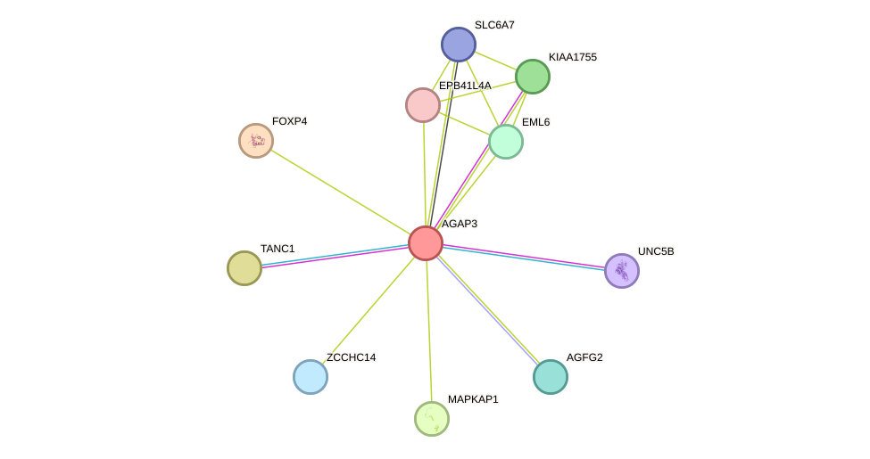 STRING protein interaction network
