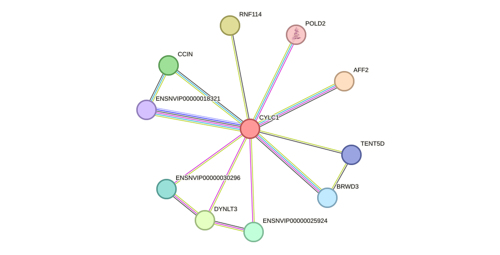 STRING protein interaction network