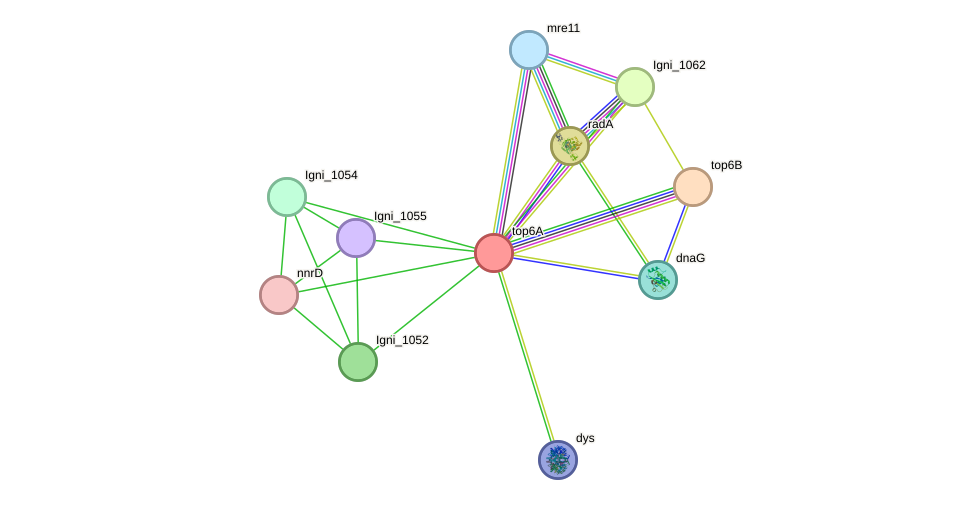 STRING protein interaction network