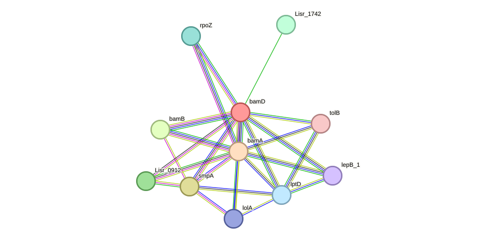 STRING protein interaction network