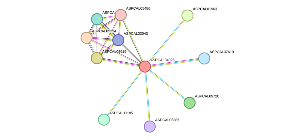 STRING protein interaction network