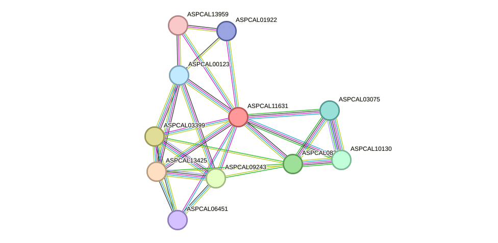 STRING protein interaction network