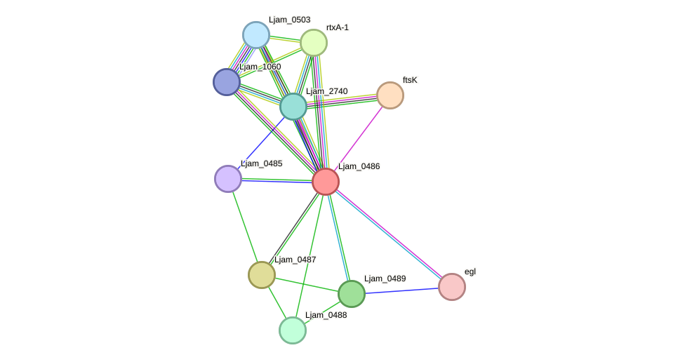 STRING protein interaction network