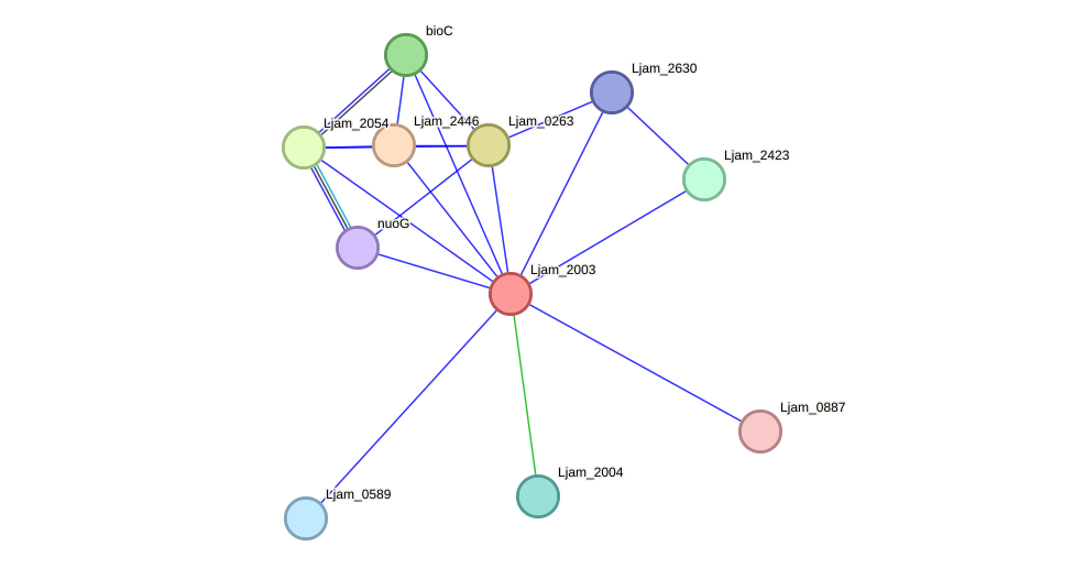 STRING protein interaction network