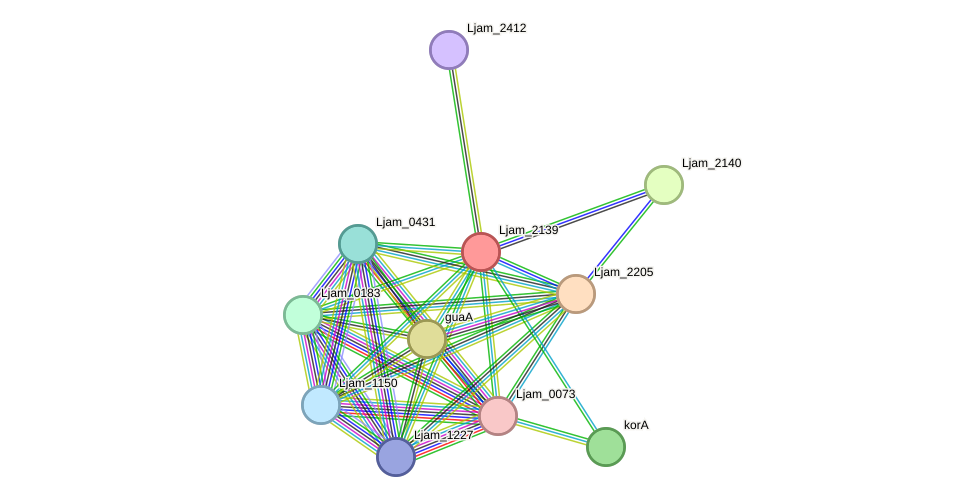 STRING protein interaction network