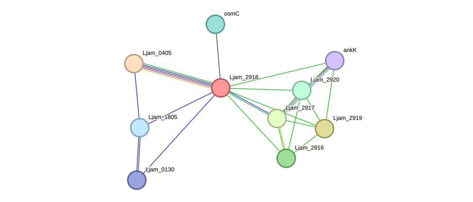 STRING protein interaction network