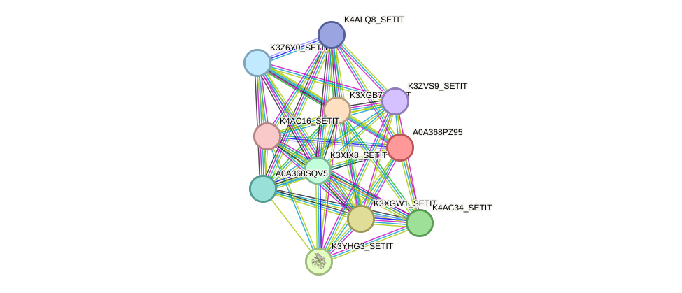STRING protein interaction network